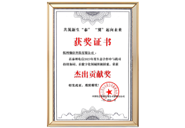 泰州电信<br/>杰出贡献奖