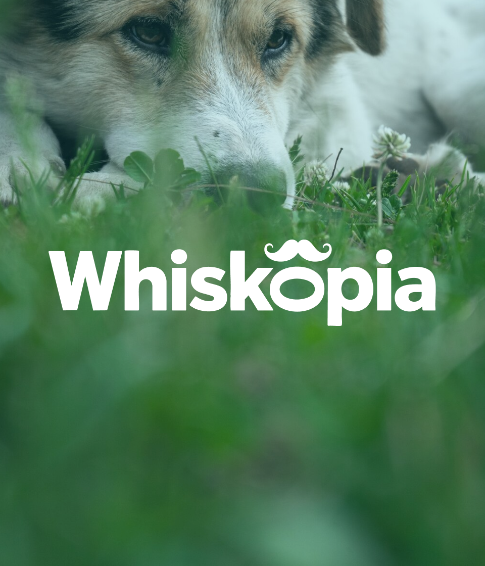 Whiskopia｜宠物医药品牌设计